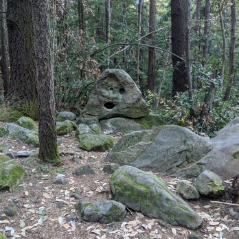 Sanborn County Park - I feel like someone's watching me... - Parks Near Me - Saratoga, California Sanborn County Park - I feel like someone's watching me... - Parks Near Me - Saratoga, California