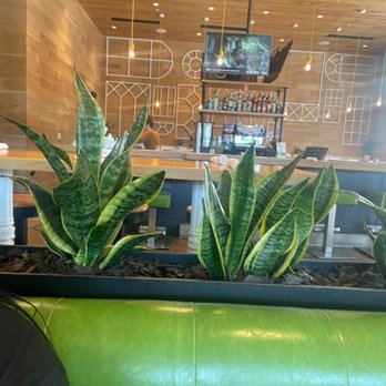 True Food Kitchen - Vegetarian Near Me - Plano, Texas True Food Kitchen - Vegetarian Near Me - Plano, Texas