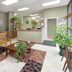 Boulders Natural Animal Hospital - Space, light, and warmth are what make our Reception Area welcoming.