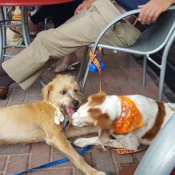 Longfellow Grill - Jax loved the patio atmosphere - American Near Me - Minneapolis, Minnesota Longfellow Grill - Jax loved the patio atmosphere - American Near Me - Minneapolis, Minnesota
