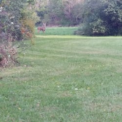 Kress Creek Farms Disc Golf