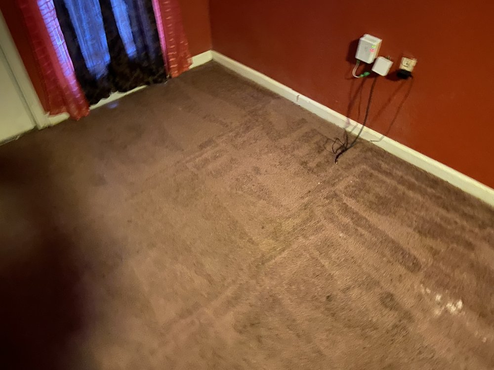 BRYAN’S CARPET CLEANING Updated April 2024 Cabot, Arkansas Carpet