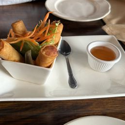 Crispy Spring Rolls