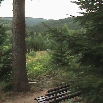 Botanischer Garten Schellerhau - Museums Near Me - Altenberg, SN