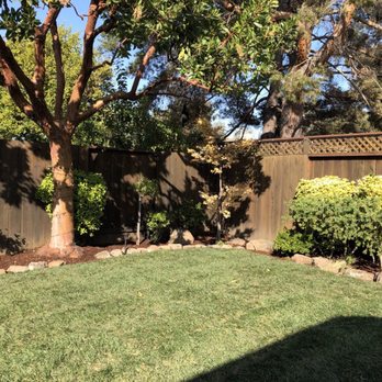 Jose Luis Landscape - a fenced backyard with a tree and shrubbery - Landscaping Near Me Jose Luis Landscape - a fenced backyard with a tree and shrubbery - Landscaping Near Me