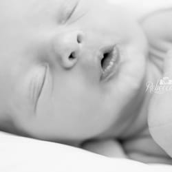 Rebecca Knowlton Photography - Weddings-Portraits-Events