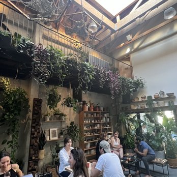 Arcana - Inside - Nurseries & Gardening Near Me - San Francisco, California