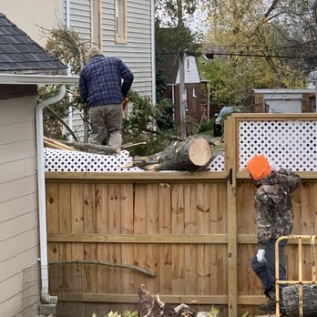 Mays Tree and Stump - Crew removing tree - Tree Services Near Me - Alden, New York Mays Tree and Stump - Crew removing tree - Tree Services Near Me - Alden, New York