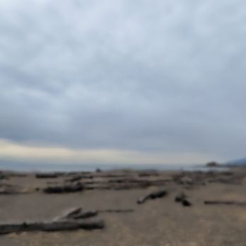 Iona Beach Park - Parks Near Me - Richmond, British Columbia