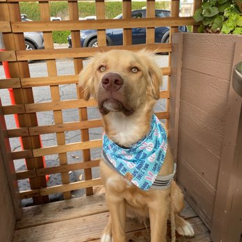Urth Caffé-Pasadena - Dog friendly outdoor seating! - Cafes Near Me - Pasadena, California Urth Caffé-Pasadena - Dog friendly outdoor seating! - Cafes Near Me - Pasadena, California