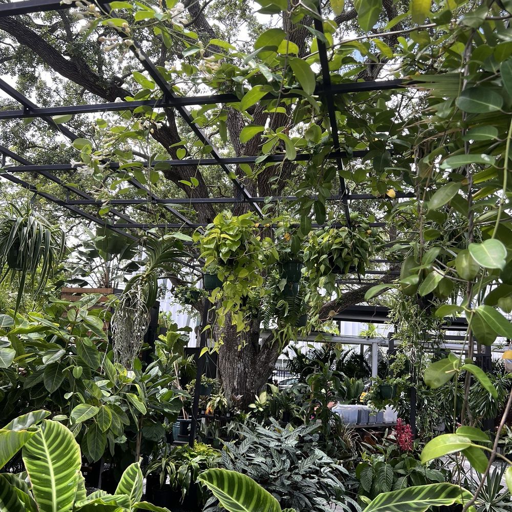 Sunny Side Cafe & Eatery - Plant Nursery next door - Breakfast & Brunch Near Me - Miami, Florida Sunny Side Cafe & Eatery - Plant Nursery next door - Breakfast & Brunch Near Me - Miami, Florida
