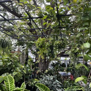 Sunny Side Cafe & Eatery - Plant Nursery next door - Breakfast & Brunch Near Me - Miami, Florida