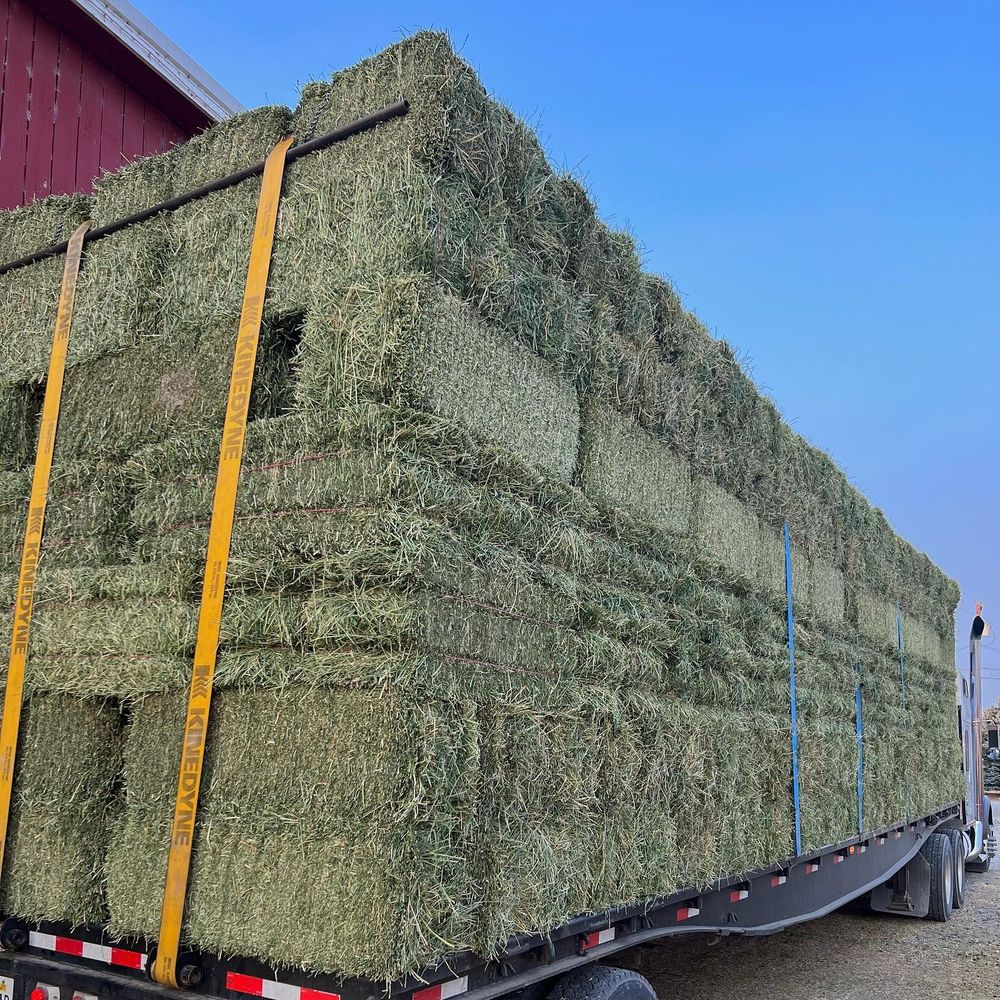 BRANEX FEED AND SUPPLY Updated August 2024 23417 SE 436th St