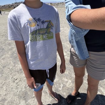 Great Salt Lake State Park - So me and my son took a walk on the great salt lake beach if you see black mud that looks solid don't step in it - Parks Near Me - Magna, Utah