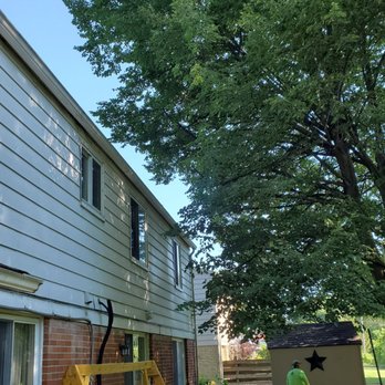 Artica Tree Service - Trimmed away from the side, roof, and shed area. - Tree Services Near Me Artica Tree Service - Trimmed away from the side, roof, and shed area. - Tree Services Near Me