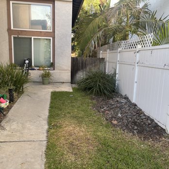 Santos Pena Tree Care and Services - After the bush removal - Tree Services Near Me Santos Pena Tree Care and Services - After the bush removal - Tree Services Near Me