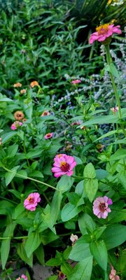 Ardovino's Desert Crossing by null