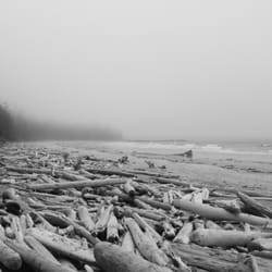 Cape Scott Provincial Park - Experiment Bight, complete with logs.