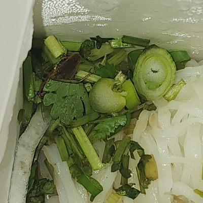 Phở 301 by null