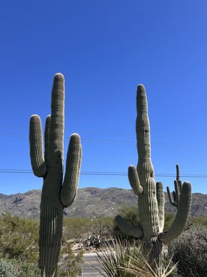 Saguaro Corners Restaurant & Bar by null