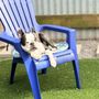 Photo of Lil Doggie Den