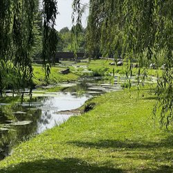 Arthur J Hendrickson Park