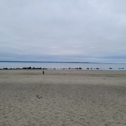 Damon Point