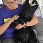 Photo of Shea's Pet Grooming