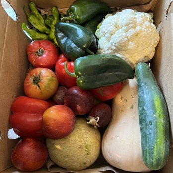 Farm Cart Organics - Original box with add ons - CSA Near Me - Carpinteria, California Farm Cart Organics - Original box with add ons - CSA Near Me - Carpinteria, California