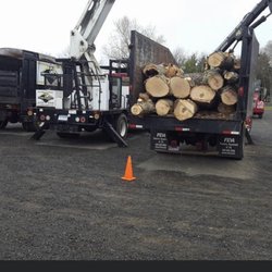 Affordable Tree Experts