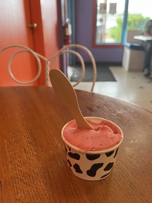 Elevated Ice Cream Co by null