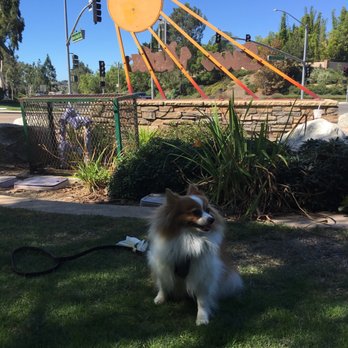 Sun Vista Park - Dog Parks Near Me - Encinitas, California Sun Vista Park - Dog Parks Near Me - Encinitas, California