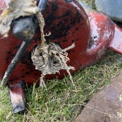 Tommy Malozi Jr Sewer Drain and Plumbing - Blocked grinder pump