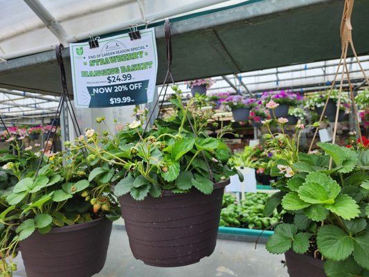 19th Avenue Farmer's Market by null