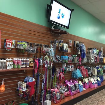 Splash Doggie - Plenty of cool things for your pups - Pet Groomers Near Me - Burbank, California Splash Doggie - Plenty of cool things for your pups - Pet Groomers Near Me - Burbank, California