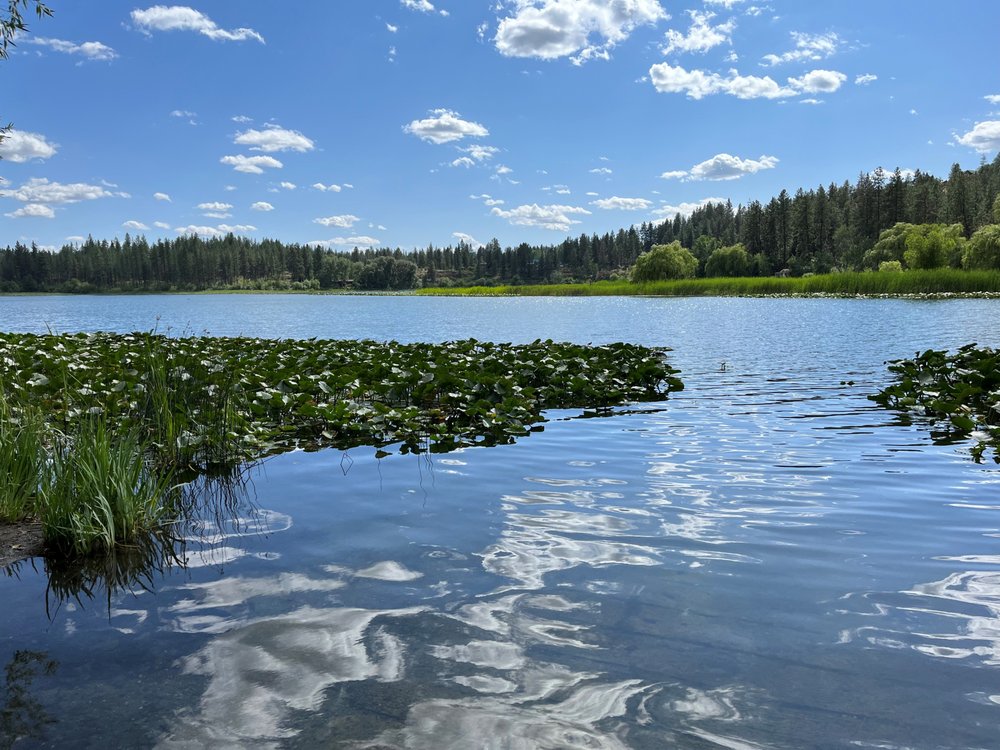 FISH LAKE Updated August 2024 1422214372 S Cheney Spokane Rd