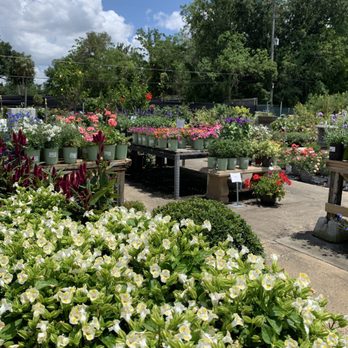 Apenberry's Garden - So many florals for spring!! - Home Decor Near Me - Orlando, Florida Apenberry's Garden - So many florals for spring!! - Home Decor Near Me - Orlando, Florida