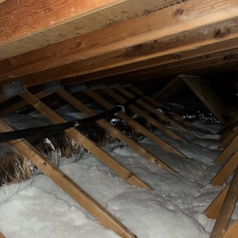 Attic Pros - Amazing job by Gary and his Crew - Pest Control Near Me - Oakland, California