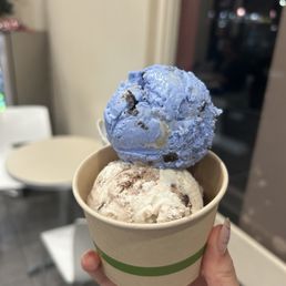 Cookie Monster & Chocolate Chip Cheesecake