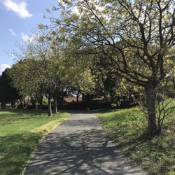 Country Manor Park - Nice place to walk your dogs!