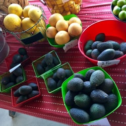 Sequoia Flowers Produce & More