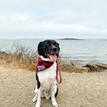 Point Isabel Regional Shoreline - Dog Parks Near Me - Richmond, California Point Isabel Regional Shoreline - Dog Parks Near Me - Richmond, California