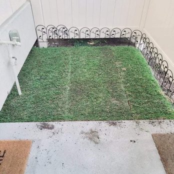 Artificial Grass Guru - This was how small my project would be and they quoted me $3,500. - Artificial Turf Near Me Artificial Grass Guru - This was how small my project would be and they quoted me $3,500. - Artificial Turf Near Me