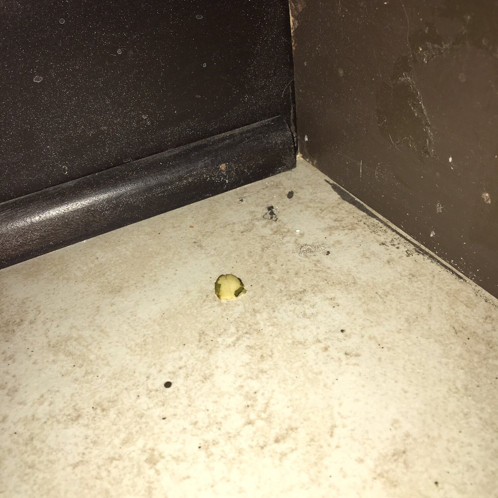 Easyway Maid Service - My bathroom floor. Not swept - Home Cleaning Near Me - Austin, Texas