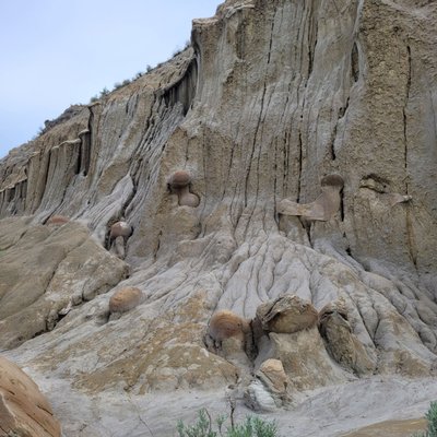 Theodore Roosevelt National Park by null