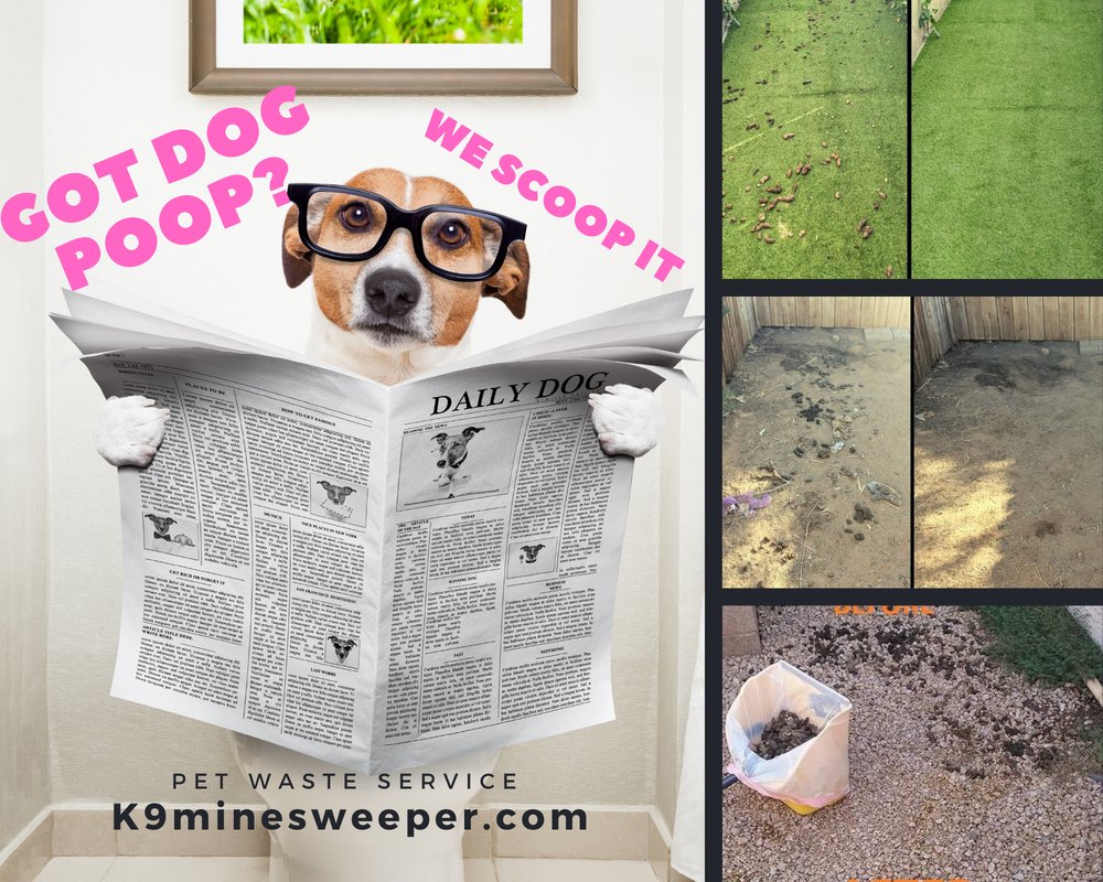 K9 MINESWEEPERS Updated October 2024 14 Photos Indio, California