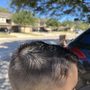 Photo of Great Clips