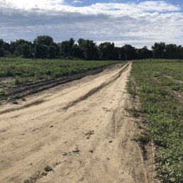 Farm Farm