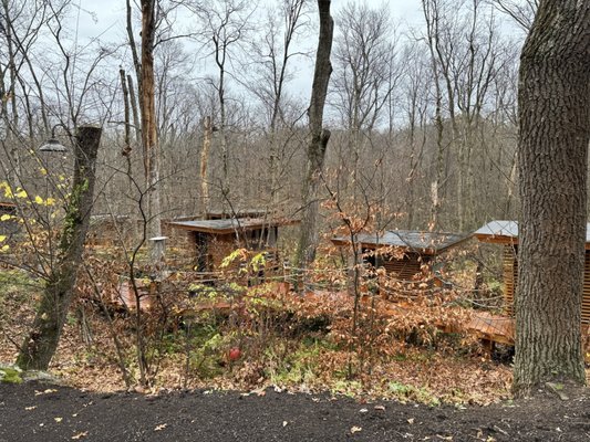 TreeTops Restaurant by null