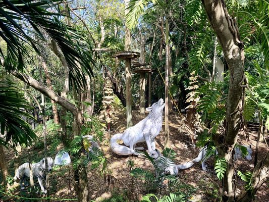 Jungle Island by null